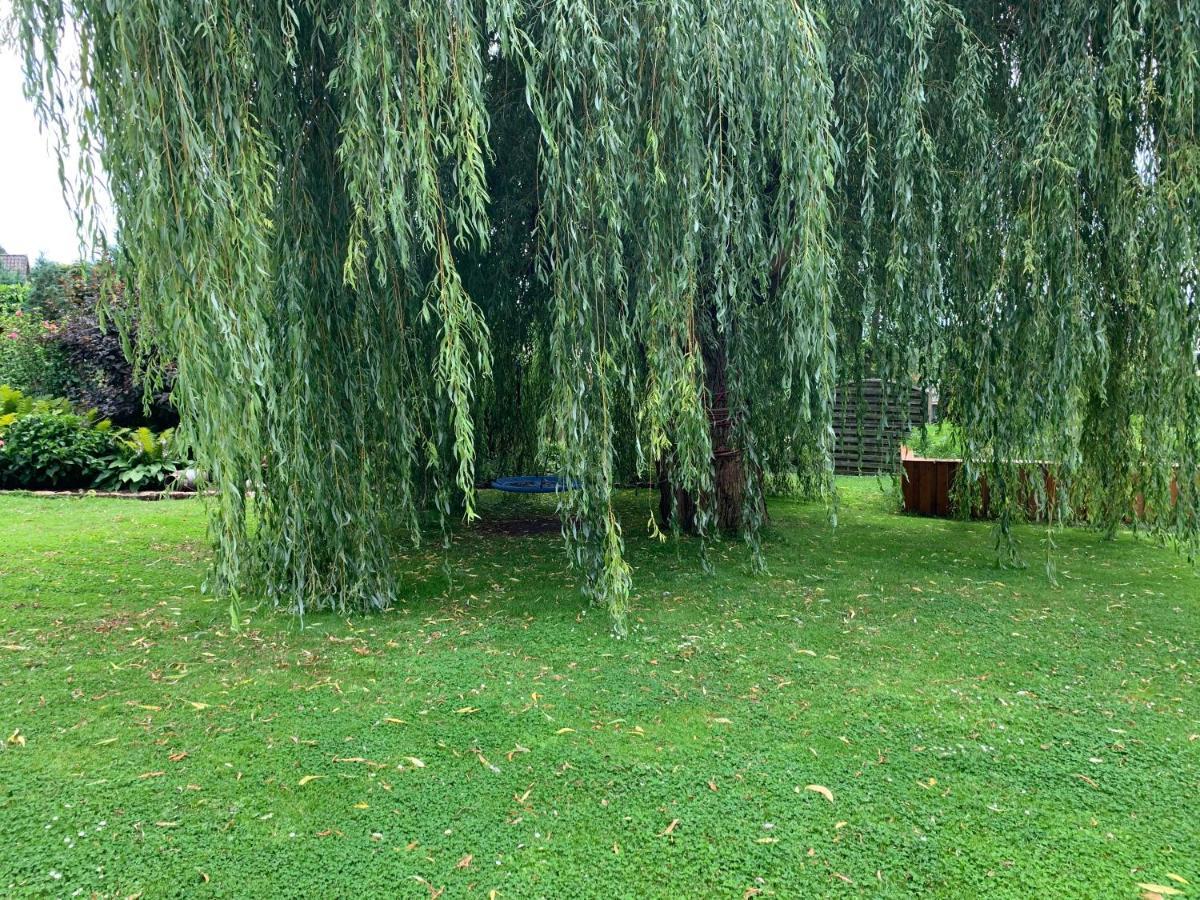 Güneitzblick Daire Clenze Dış mekan fotoğraf